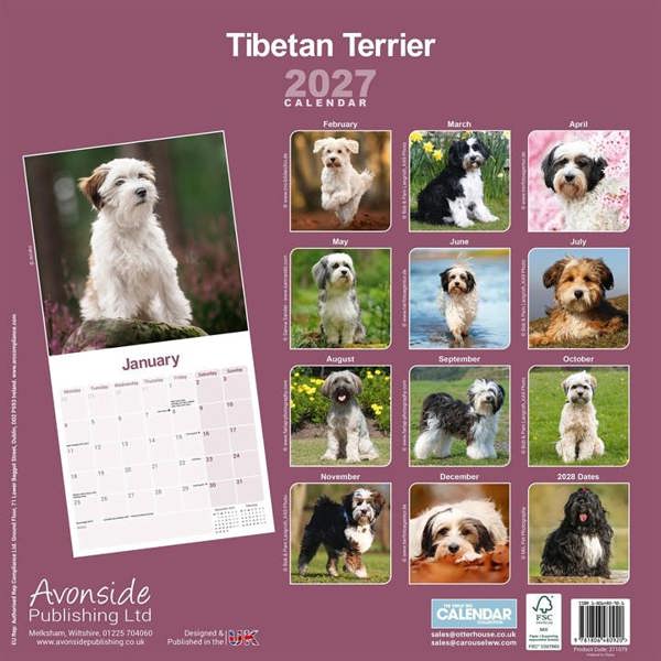 Tibetan Terrier Calendar 2027, Wall Calendars, Month To View, Dogs, Gift