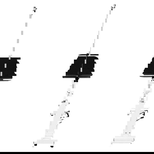 Monstershop White Hydraulic Grooming Table - Black Table Top