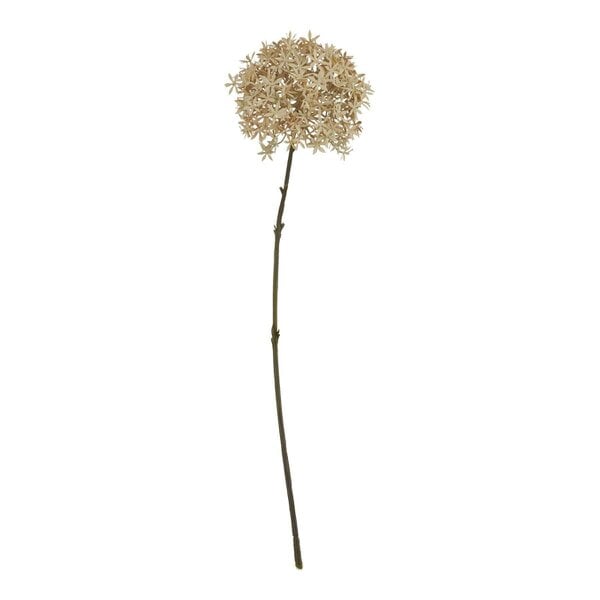 Wyld Haus Set of 3 Artificial Flowers Coffee Allium Stems