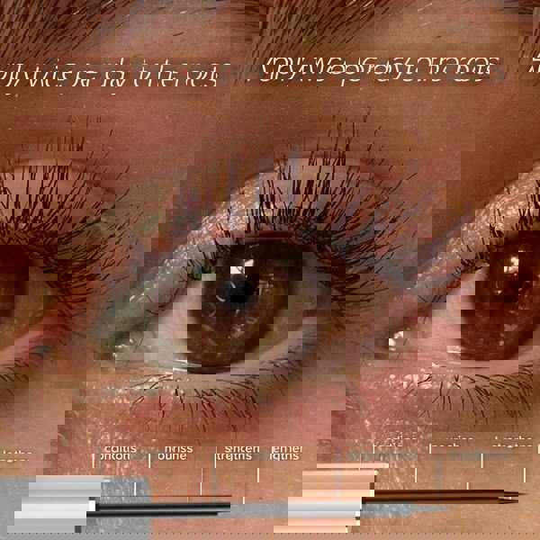 NYK1 LashForce Eyelash Growth Serum for Longer, Thicker & Fuller Lashes. 4-6 month usage