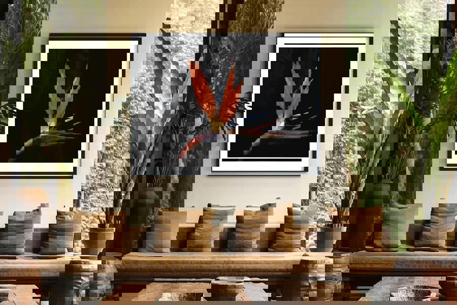 bird of paradise flower wall art print