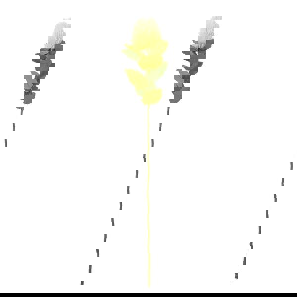 Hill Interiors Banksia Stem Artificial Plant - Cream