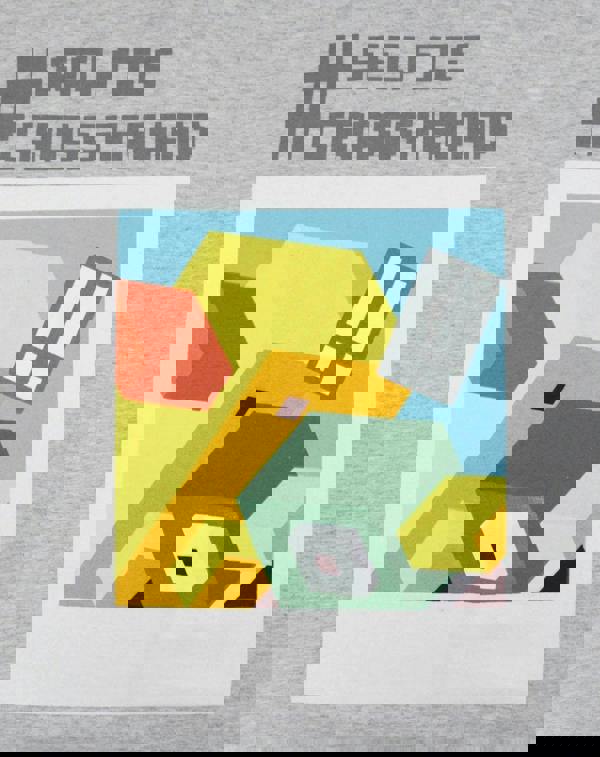 Crossy Road Boys Grey Short Sleeved T-Shirt