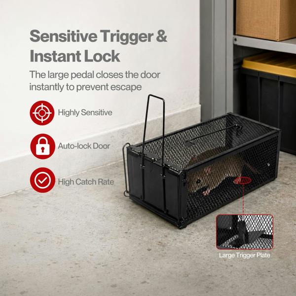 TOQUE Humane Mouse Traps Live Catch Rodent Trap Auto Lock For outdoor Black 2pc