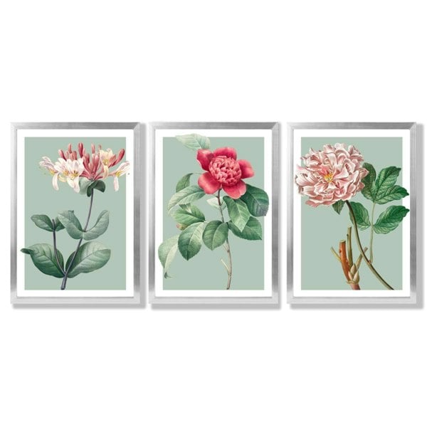 Artze Wall Art Vintage Flowers Honeysuckle, Peony Set of 3 Framed Prints