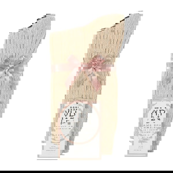 t4option1_3