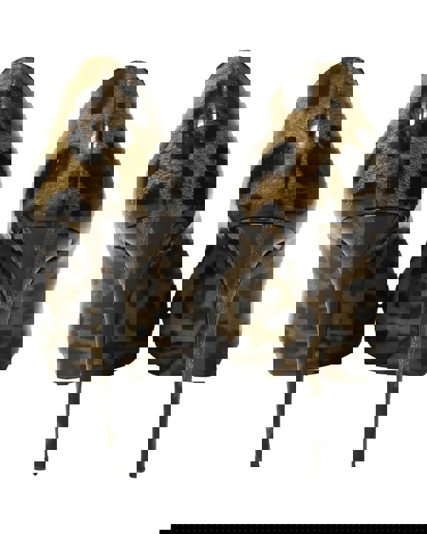 155595531.jpg