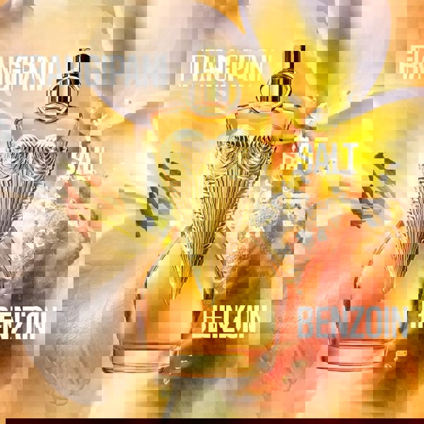 Jean Paul Gaultier Women's Perfume Jean Paul Gaultier Divine Le Parfum Intense Eau de Parfum Women's Perfume Spray (30ml, 50ml, 100ml)