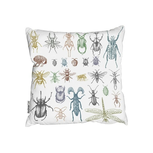 Benjamin Tate Design Big Set Of Insects Bugs Beetles And Bees Many Species In Vintage Old Hand Drawn Style (Outdoor Cushion)