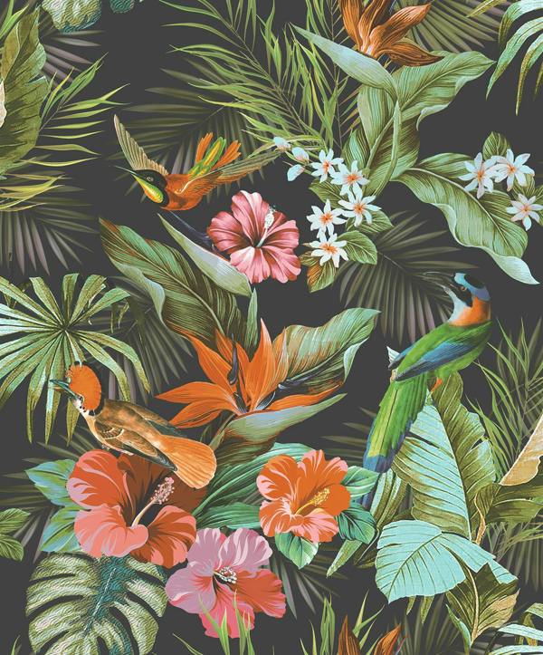 Paradise Birds Black Wallpaper 539059 - Rs