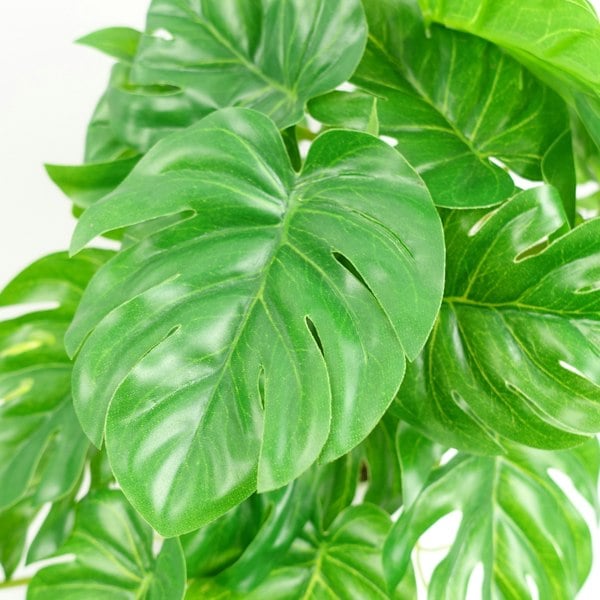 Leaf 30cm Artificial Green Potted Monstera Trailing Plant