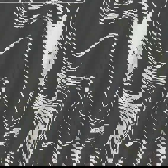 Black | Printed High Waist A-Line Midi Skirt