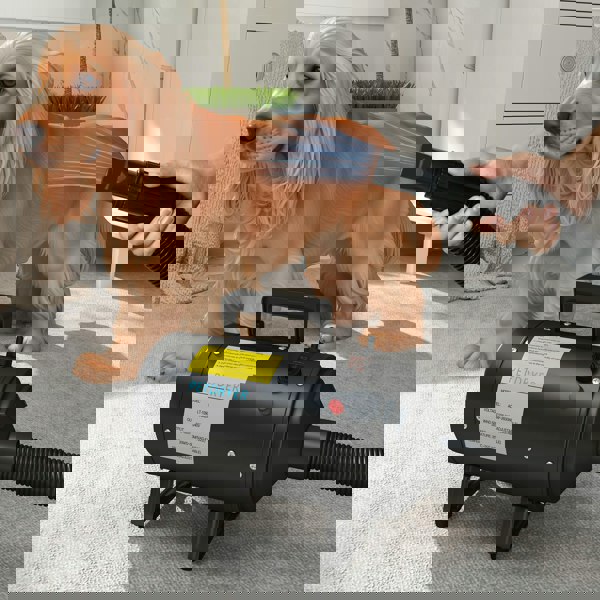D01-055V70BK