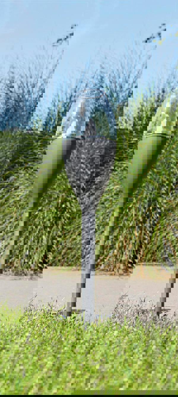 Luxform Solar Jive Mini Flame Spike