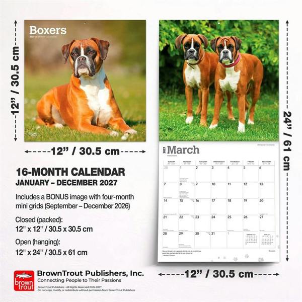 Boxers Calendar 2027, Wall Calendars, Month To View, Dogs, Gift