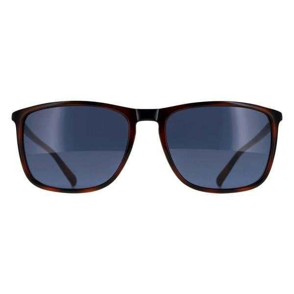 Calvin Klein Sunglasses CK20524SN 235 Havana Blue