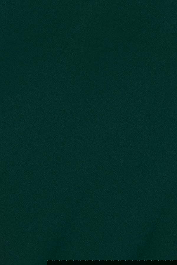 Bardot Pleated Midi Dress - Emerald Green DR1092A