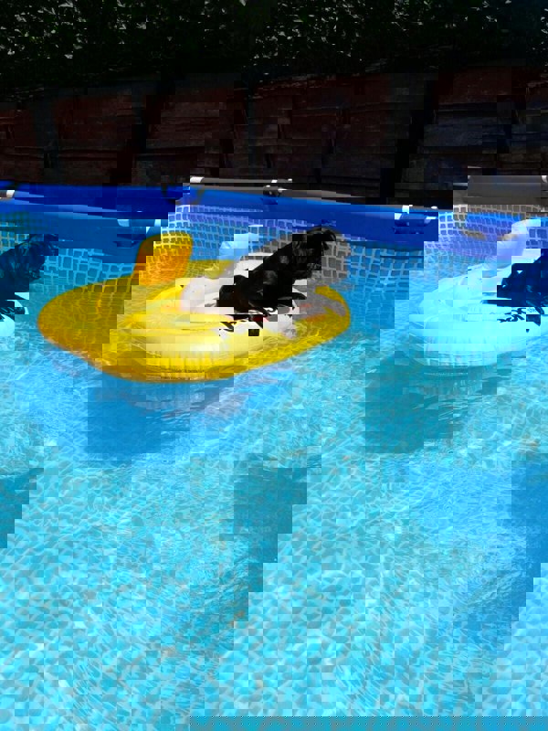 Intex Inflatable Deluxe Baby Beach Swimming Pool Float