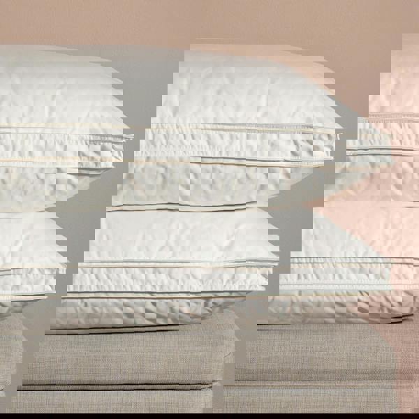 Soak&Sleep Hungarian Goose Down Pillows
