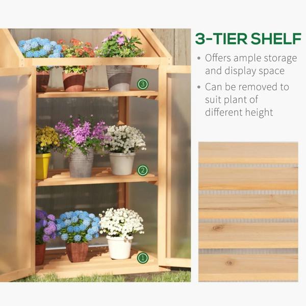 Wooden cold frame greenhouse interior with removable-looking 3-tier shelves