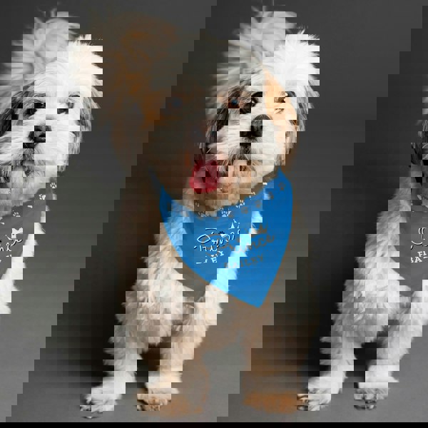 Personalised Memento Company Personalised Prince Dog Bandana
