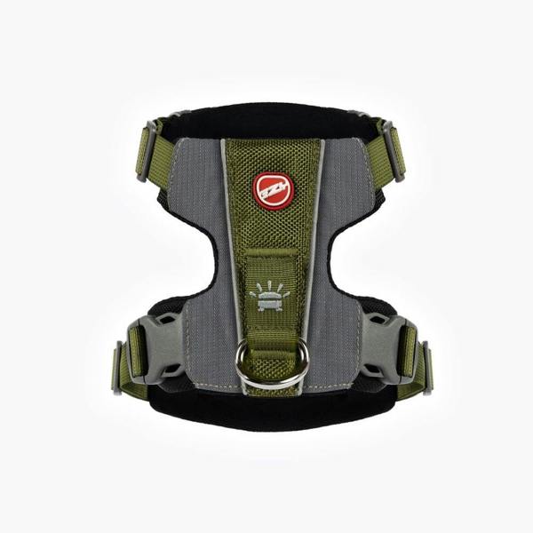 EzyDog X-Link Dog Harness in Green