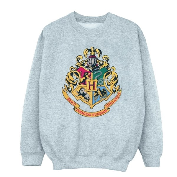 Harry Potter Boys Hogwarts Crest Gold Ink Sweatshirt - Sports Grey