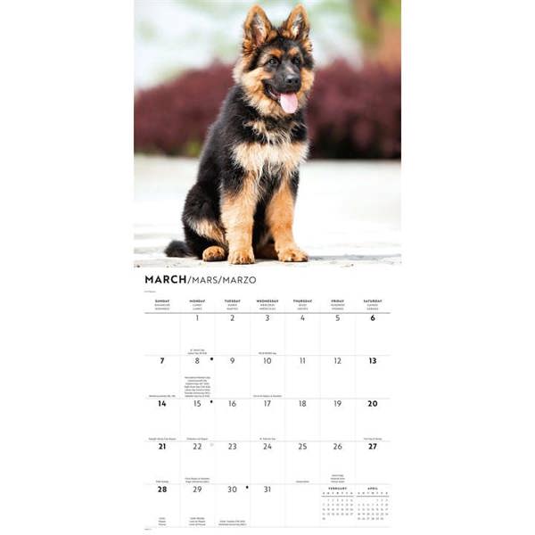 German Shepherd Puppies Calendar 2027, Wall Calendars, Month To View, Dogs, Gift