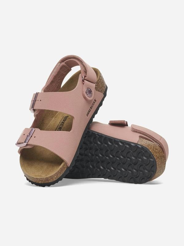 BIRS5010_PINK_3
