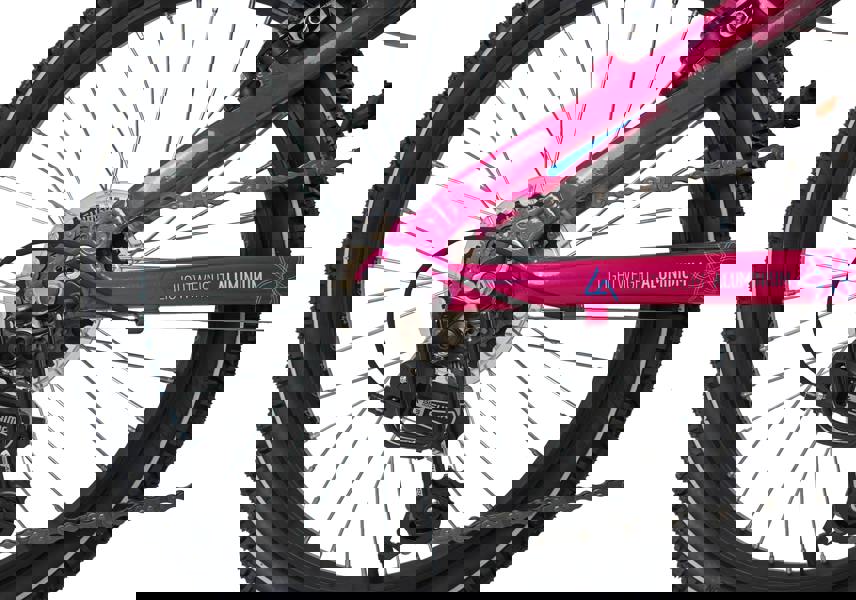 Dawes 20" Paris HT Kids Mountain Bike