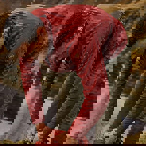 15123116ece2eff4f11096a1650b3ef1