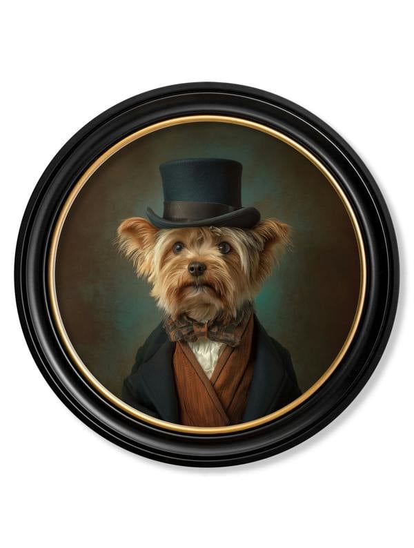 Exceptional Art Lord Barkley of York - Gentleman Yorkshire Terrier Oxford round frame