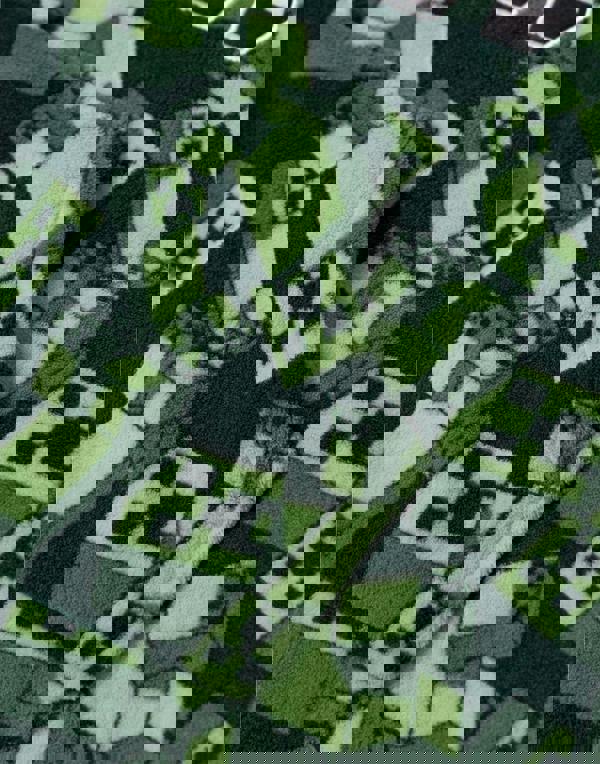 Minecraft Boys Green Creeper Blanket Hoodie (One Size)