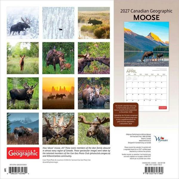 Moose Calendar 2027, Wall Calendars, Month To View, Animals, Gift