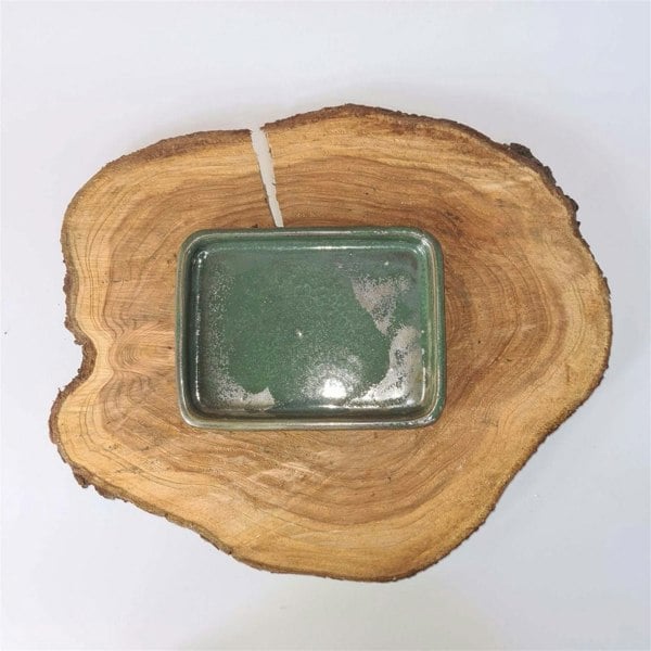 18cm Glazed Drip Tray | Rectangle | Green - Yorkshire Bonsai