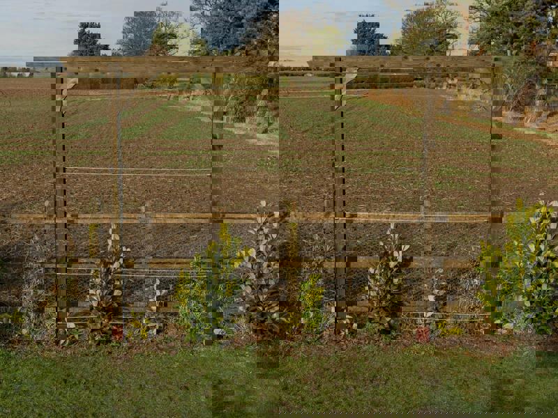 Arbor Garden Solutions Screen Pergola, Plant Climbing Arbour - Corbel Sculpted Brace