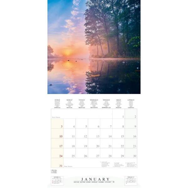 Deep Forest Calendar 2027, Wall Calendars, Month To View, Natural World, Gift