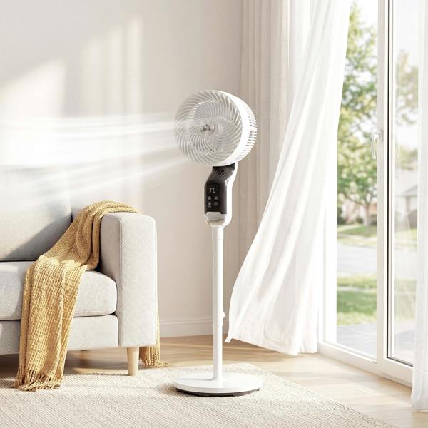Air Circulator Fan