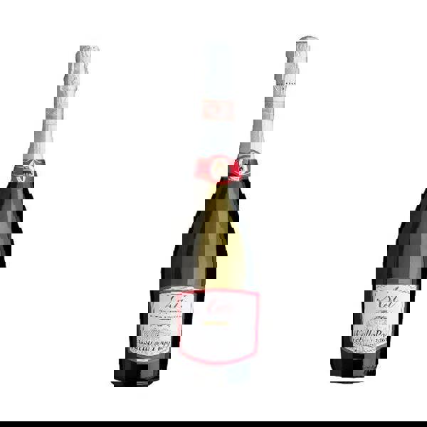 Castello del Poggio Asti Dolce