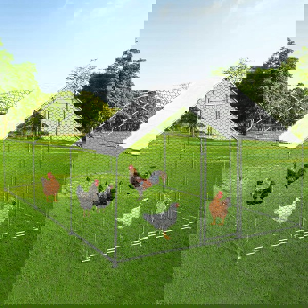 Monstershop Chicken Run 4m x 6m x 2m