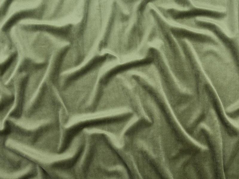 Fern Green