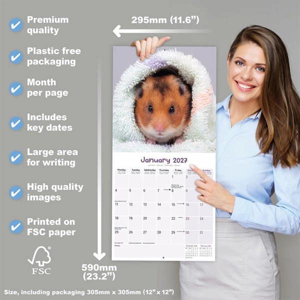 Hamsters Calendar 2027, Wall Calendars, Month To View, Animals, Gift