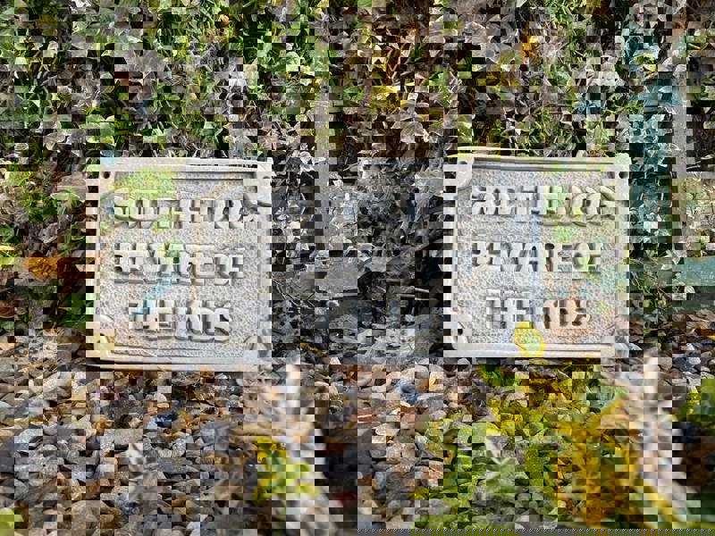 Beware of the Kids Stone Wall Plaque