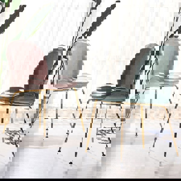 Lule Dining Chair, Gold Legs-Ritconcept-Rit Concept