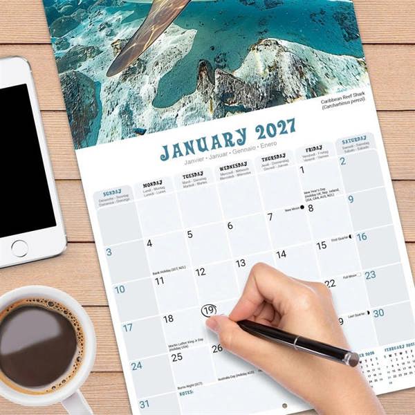 Sharks Calendar 2027, Wall Calendars, Month To View, Animals, Gift