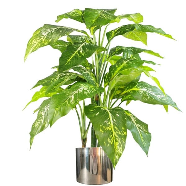 Leaf 100cm Large Fox's Aglaonema (Spotted Evergreen) Tree Artificial Plant with Silver Metal Planter