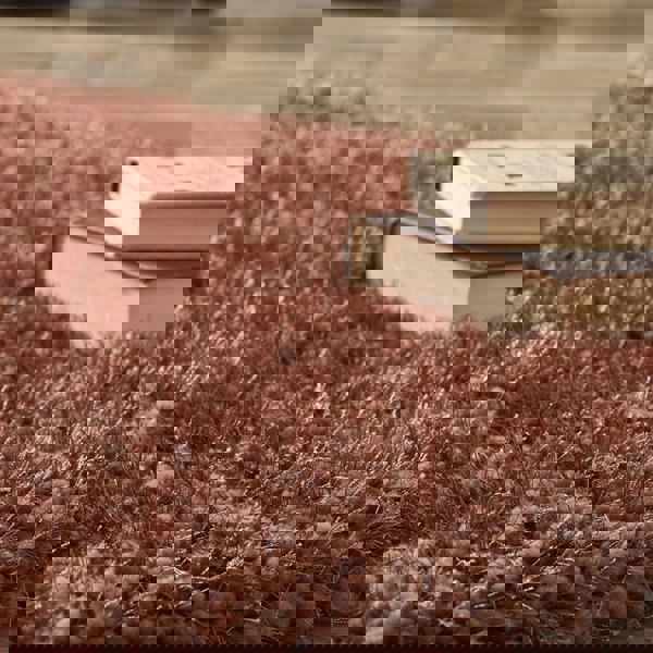 The Rugs Chicago Shaggy Rug - Soft Comfort in 4 Colours