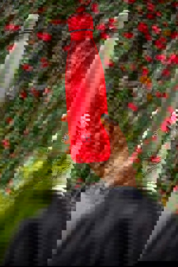 Holding up a red stainless steel bottle in front of a cherry tree