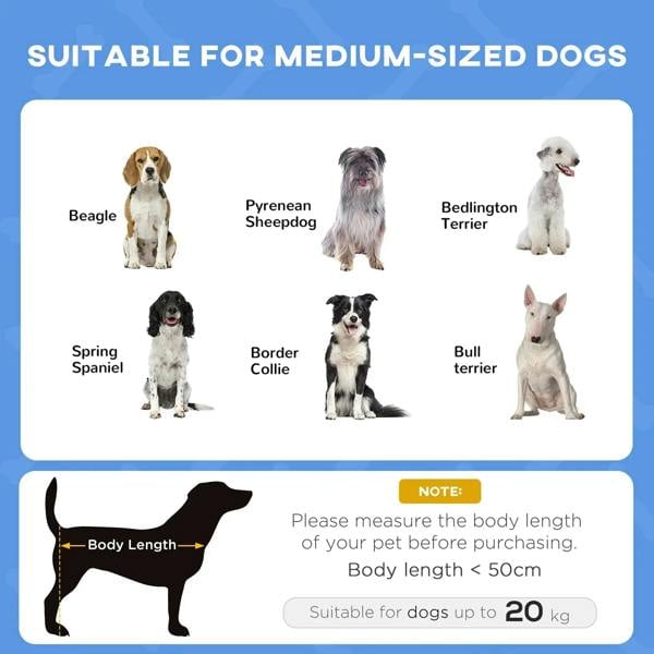 Blue elevated pet cot dog bed with canopy, featured in medium dog sizing graphic