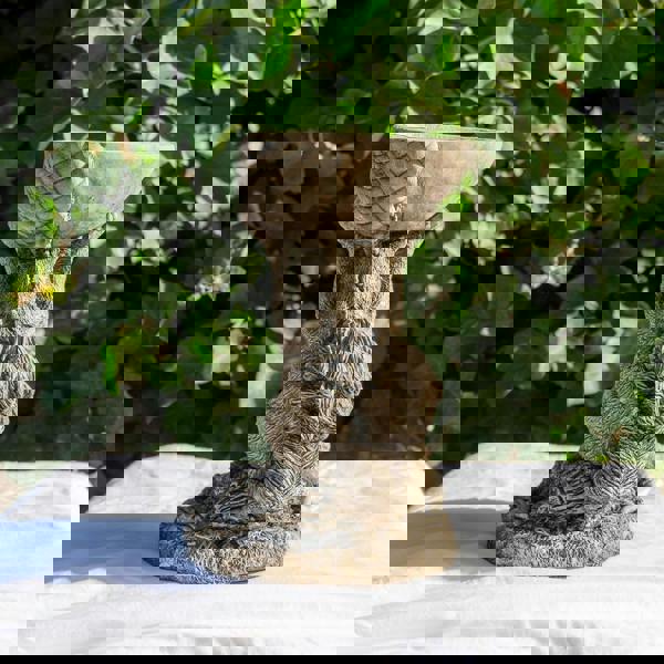 Small Adorable Squirrel And Nut Design Stonecast Bird Bath